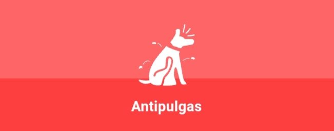 Anti-pulgas e Carrapatos